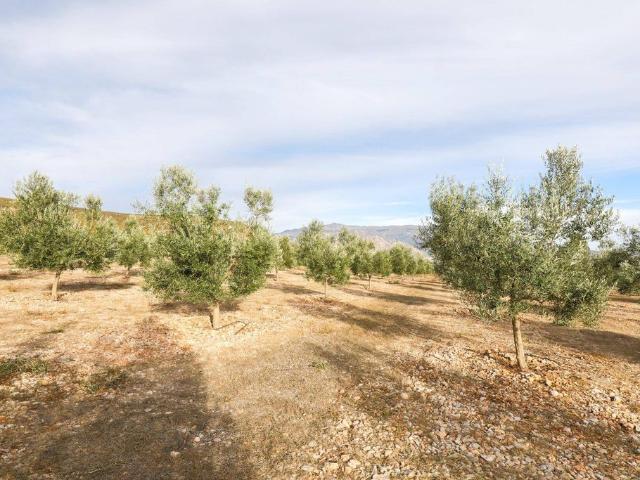 Terreno / Solar en venta Cozvíjar, Andalucía