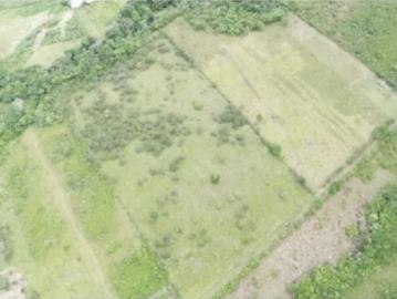 Terreno / Solar en venta Dolega District, Provincia de Chiriquí