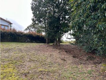 Terreno / Solar en venta Envigado, Colombia