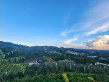 Terreno / Solar en venta Envigado, Departamento de Antioquia