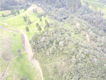 Terreno / Solar en venta Envigado, Departamento de Antioquia