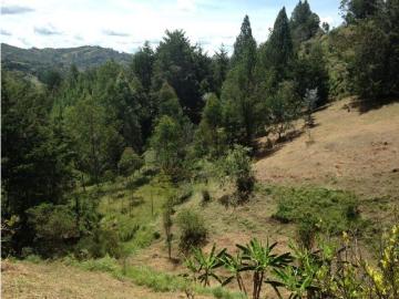 Terreno / Solar en venta Envigado, Departamento de Antioquia