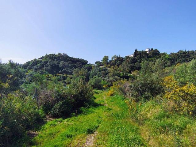 Terreno / Solar en venta Estepona, España