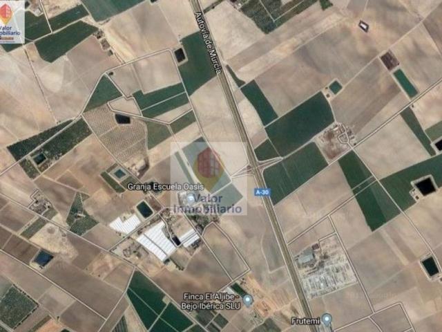 Terreno / Solar Fuente Álamo, España