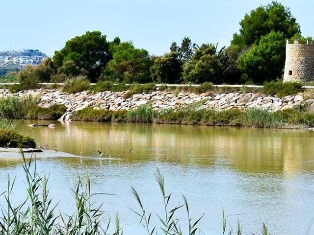 Terreno / Solar en venta Guardamar del Segura, España