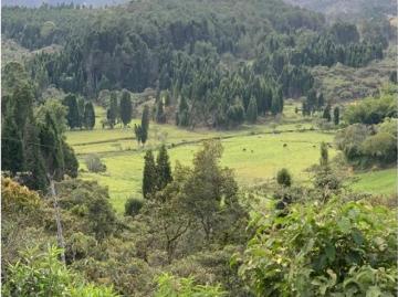 Terreno / Solar en venta Guarne, Departamento de Antioquia