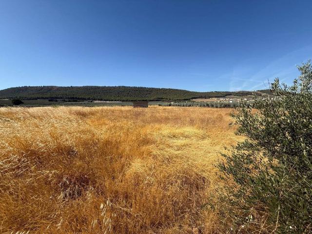Terreno / Solar en venta Humilladero, España