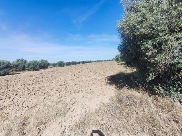 Terreno / Solar en venta Illescas, Castilla La Mancha