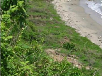 Terreno / Solar en venta Juan de Acosta, Colombia