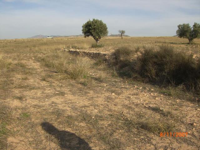 Terreno / Solar en venta Jumilla, Murcia