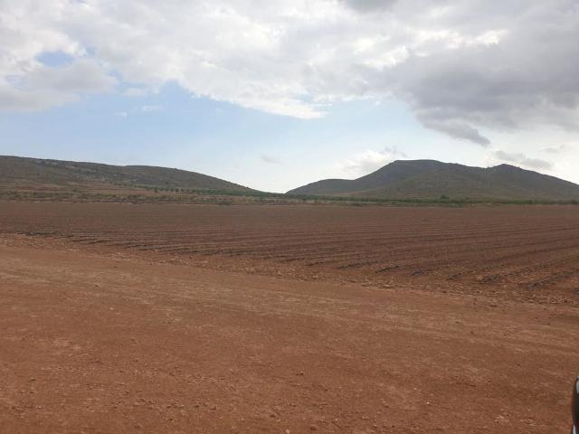Terreno / Solar en venta Jumilla, Murcia