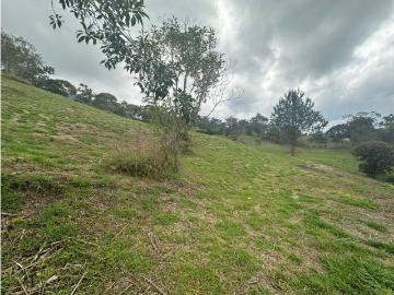 Terreno / Solar en venta La Ceja, Colombia