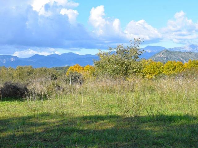 Terreno / Solar en venta Llubí, Baleares