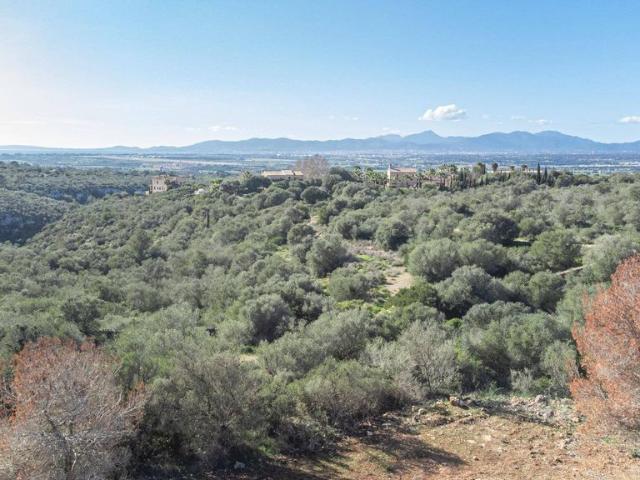 Terreno / Solar de 413 m2 en venta Palma de Mallorca, España