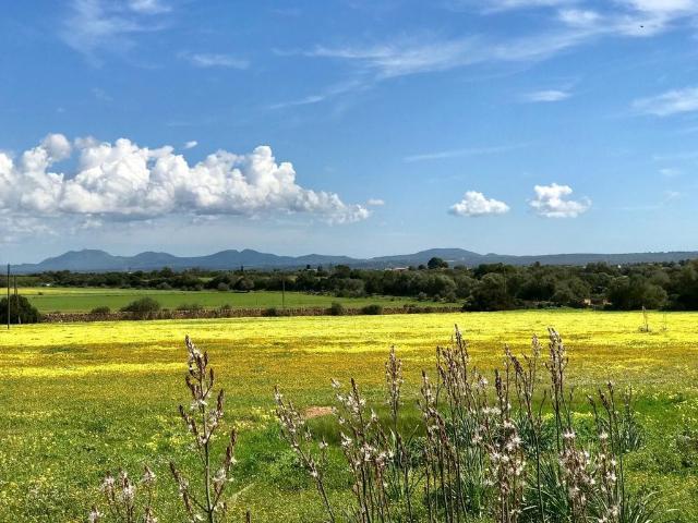 Terreno / Solar de 169 m2 Campos, España