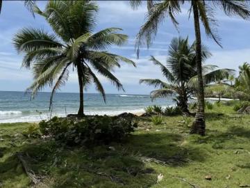 Terreno / Solar en venta Palenque, Panamá 130725 LuxuryEstate. Com