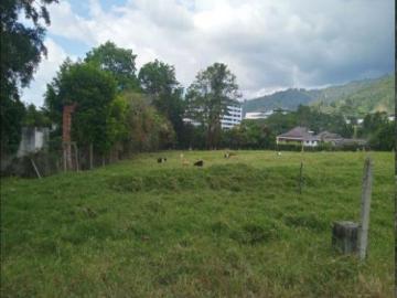 Terreno / Solar en venta Piedecuesta, Colombia