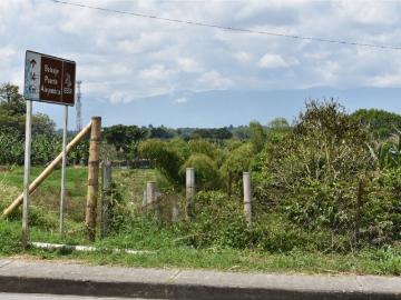 Terreno / Solar en venta Quimbaya, Colombia