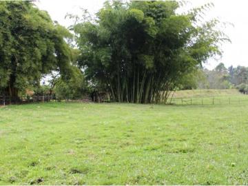 Terreno / Solar en venta Rionegro, Colombia
