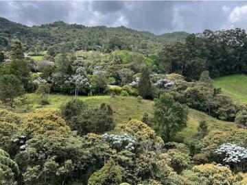 Terreno / Solar en venta Rionegro, Colombia