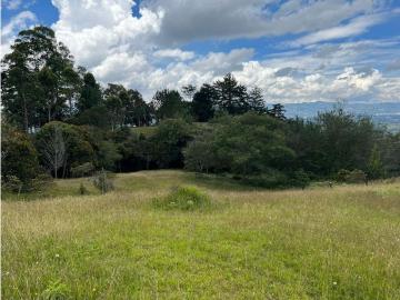 Terreno / Solar en venta Rionegro, Colombia