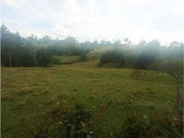 Terreno / Solar en venta Rionegro, Departamento de Antioquia