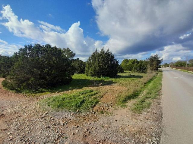 Terreno / Solar en venta San Jose de la Atalaya, España