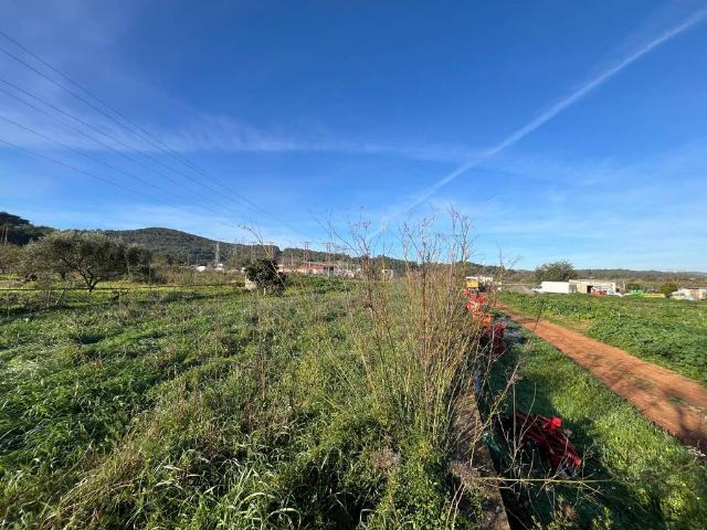 Terreno / Solar en venta San Juan Bautista, España