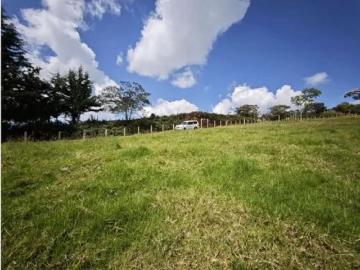 Terreno / Solar en venta San Pedro, Departamento de Antioquia