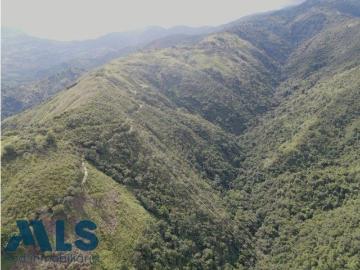 Terreno / Solar en venta Santa Bárbara, Departamento de Antioquia