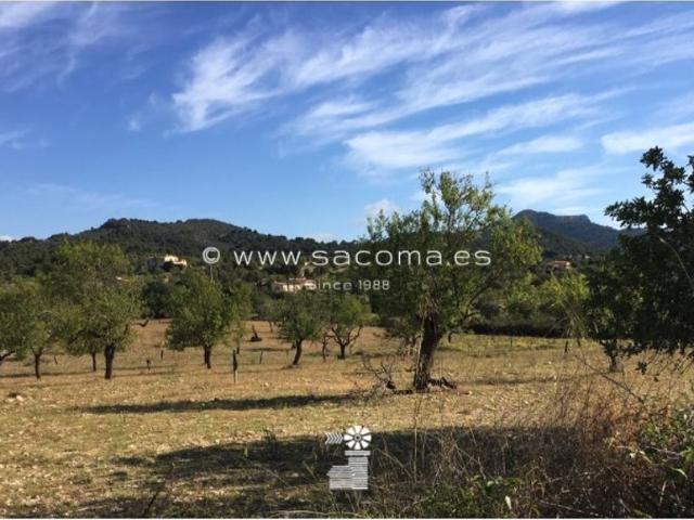 Terreno / Solar Santanyí, Baleares