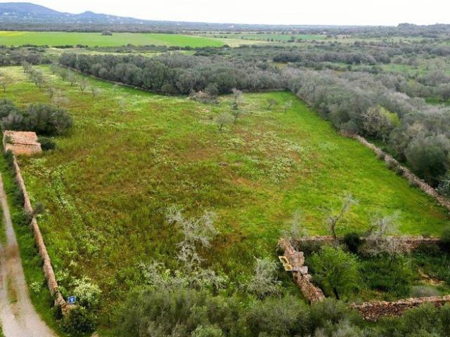 Terreno / Solar en venta Ses Salines, España