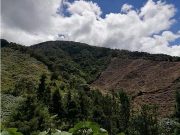 Terreno / Solar en venta Sonsón, Departamento de Antioquia