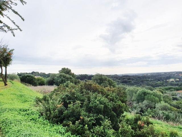 Terreno / Solar en venta Sotogrande, Andalucía