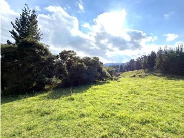 Terreno / Solar en venta Tabio, Colombia