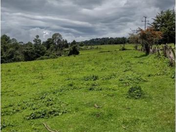 Terreno / Solar en venta Valle de Bravo, Estado de México