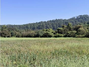 Terreno / Solar en venta Valle de Bravo, Estado de México