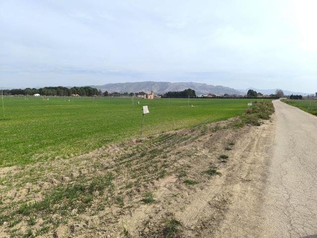 Terreno / Solar en venta Villena, España