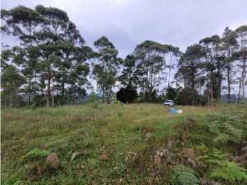 Terreno / Solar en venta Rionegro, Colombia