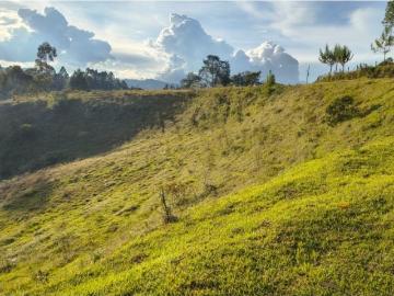Terreno / Solar Guarne, Colombia