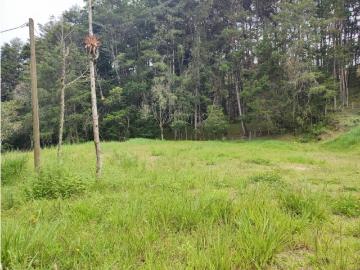 Terreno / Solar Guarne, Departamento de Antioquia