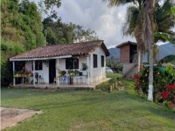 Terreno / Solar Guatapé, Departamento de Antioquia