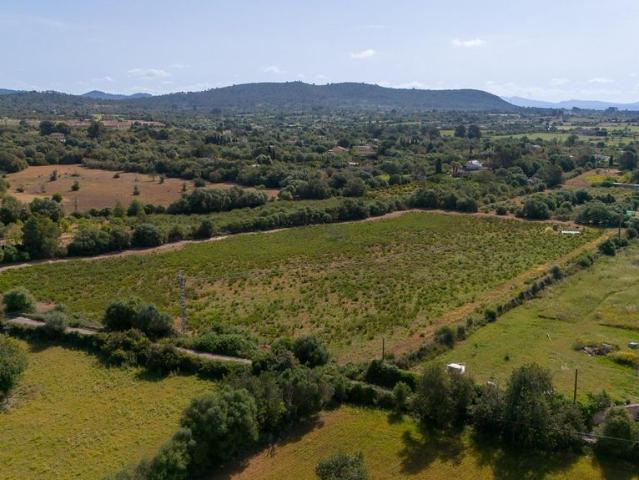 Terreno / Solar Llucmajor, España