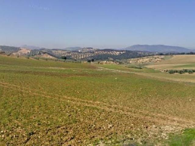Terreno / Solar Loja, Andalucía