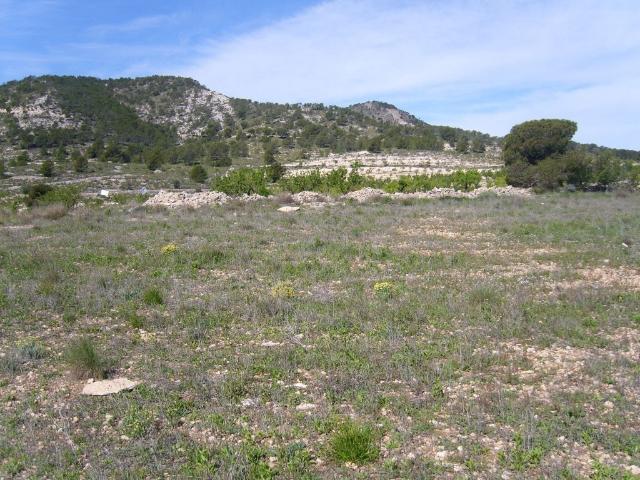 Terreno / Solar Pinoso, Comunidad Valenciana