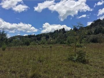 Terreno / Solar Rionegro, Colombia