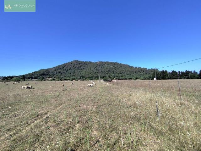 Terreno / Solar sa Pobla, Baleares