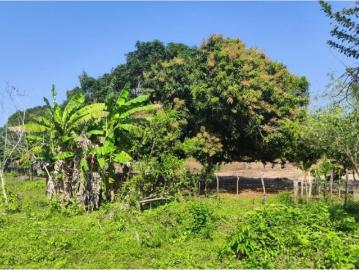 Terreno / Solar Santo Tomás, Atlántico