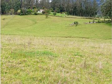 Terreno / Solar Sotaquirá, Colombia