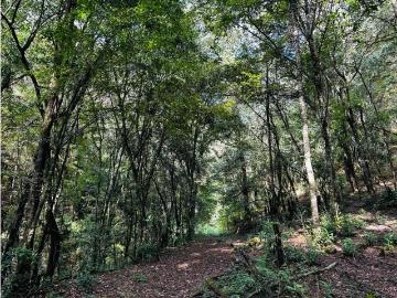 Terreno / Solar Valle de Bravo, Estado de México